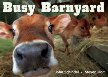 Busy Barnyard - John Schindel