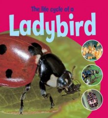 Life Cycle of a Ladybird - Ruth Thomson