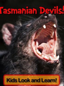 Tasmanian Devils! Learn About Tasmanian Devils and Enjoy Colorful Pictures - Look and Learn! (50+ Photos of Tasmanian Devils) - Becky Wolff