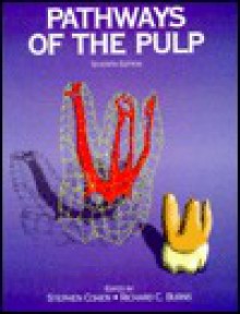 Pathways Of The Pulp - Stephen Cohen