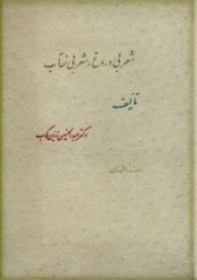 شعر بی‌دروغ شعر بی‌نقاب - عبدالحسین زرین کوب