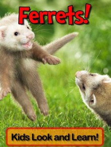 Ferrets Learn About Ferrets and Enjoy Colorful Pictures - Look - Becky Wolff