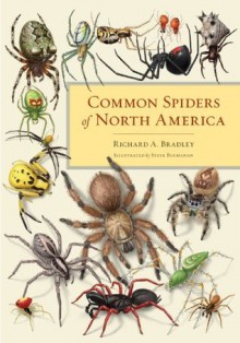 Common Spiders of North America - Richard A. Bradley, Steve Buchanan