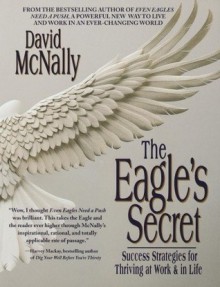 The Eagle's Secret - David McNally