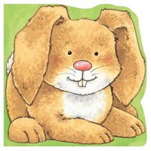 Carry-Along Bunny (Carry-Along Pets) - Fiona Hayes, Kate Davies