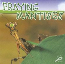 Praying Mantises - Jason Cooper