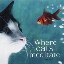 Where Cats Meditate (Gift Book) - Kit Whitfield