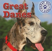 Great Danes - Kristen Rajczak