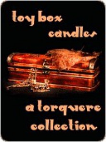 Toy Box: Candles - M. Rode, Sean Michael, Alexa Snow, Elle Parker