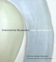 Christopher Wilmarth: Light and Gravity - Steven Henry Madoff, Nancy Milford, Edward Saywell