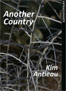 Another Country - Kim Antieau