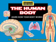 The Human Body: Learn How Your Body Works (Sticker Fun Facts) - Paula Hammond