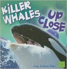 Killer Whales Up Close - Jody Sullivan Rake