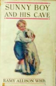 Sunny Boy and his Cave - Ramy Allison White, John M. Foster