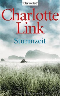 Sturmzeit: Roman - Charlotte Link