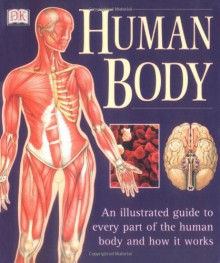 The Human Body - Ann Baggaley