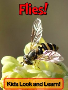 Flies! Learn About Flies and Enjoy Colorful Pictures - Look and Learn! (50+ Photos of Flies) - Becky Wolff