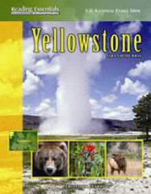 Yellowstone - Sara Louise Kras