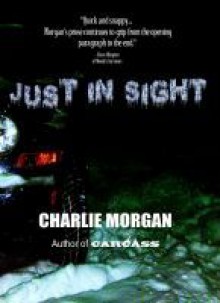 Just in Sight - Charlie Morgan