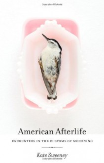 American Afterlife: Encounters in the Customs of Mourning - Kate Sweeney