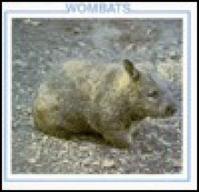 Wombats (Australian Animal Discovery Library) - Lynn M. Stone