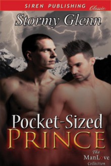 Pocket-Sized Prince - Stormy Glenn