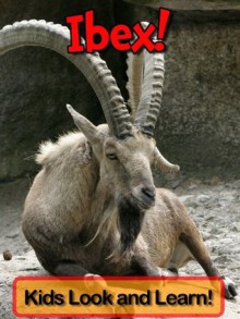 Ibex! Learn About Ibex and Enjoy Colorful Pictures - Look and Learn! (50+ Photos of Ibex) - Becky Wolff