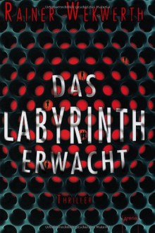 Das Labyrinth erwacht - Rainer Wekwerth