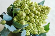 Cabbages and Cauliflowers How to Grow Them (Illustrated) - James Gregory, Amanda Lee