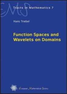 Function Spaces And Wavelets On Domains (Ems Tracts In Mathematics) - Hans Triebel