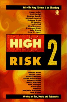 High Risk 2: Writings on Sex, Death, and Subversion - Amy Scholder, Ira Silverberg, Stewart Home, Leslie Dick, Darius James, John Giorno, Diamanda Galás, Kate Pullinger, Patrick McGrath