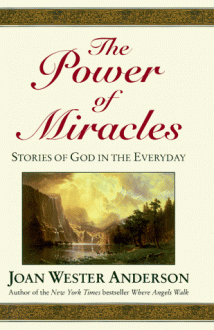 The Power of Miracles: Stories of God in the Everyday - Joan Wester Anderson