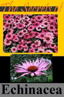 The Secrets of Echinacea - When You Need an Emergency Boost (Planet Herbs) - Planet Herbs