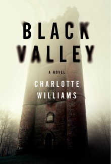 Black Valley: A Novel - Charlotte Williams