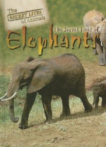 The Secret Lives of Elephants - Julia Barnes