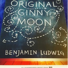 The Original Ginny Moon - Benjamin Ludwig