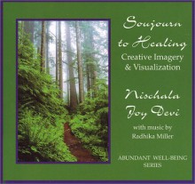 Sojourn To Healing - Nischala Joy Devi