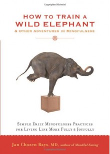 How to Train a Wild Elephant: And Other Adventures in Mindfulness - Jan Chozen Bays