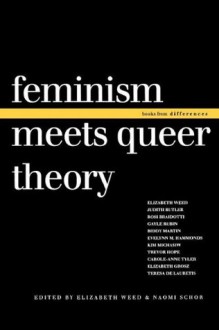 Feminism Meets Queer Theory (Books from differences) - Naomi Schor, Elizabeth Weed