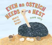 Even an Ostrich Needs a Nest: Where Birds Begin - Irene Kelly