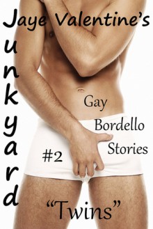 Junkyard: Gay Bordello Stories: #2 "Twins" - Jaye Valentine