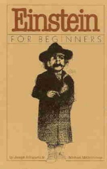 Einstein for Beginners - Joseph Schwartz, Michael McGuinness, Joe Schwart