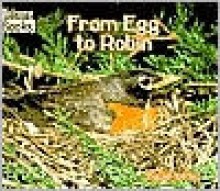 From Egg to Robin - Jan Kottke, Mark Beyer, Eliza Berkowitz, Dwight Kuhn, MaryJane Wojciechowski