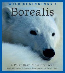 Borealis: A Polar Bear Cub's First Year - Rebecca L. Grambo