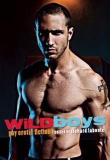 Wild Boys: Gay Erotic Fiction - Richard Labonté, Davem Verne