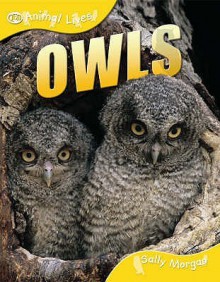 Owls (Qed Animal Lives) - Sally Morgan