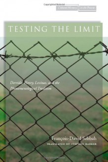 Testing the Limit: Derrida, Henry, Levinas, and the Phenomenological Tradition - Francois-David Sebbah, Stephen Barker