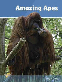 Amazing Apes - David Orme, Helen Orme