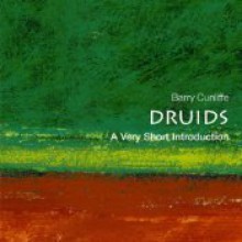 Druids: A Very Short Introduction - Barry W. Cunliffe