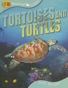 Animal Lives Tortoises and Turtles (Qeb Animal Lives) - Sally Morgan